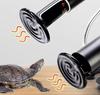 Reptile – Terarii pentru reptile