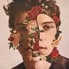 LP Record SHAWN MENDES - Shawn Mendes B002856801 ISLAND 2018 US Pop