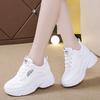 Autumn Mesh New Ins Women's Travel Shoes Sports Shoes Breathable and Versatile To Increase Height and Show Feet Little Dad Shoes