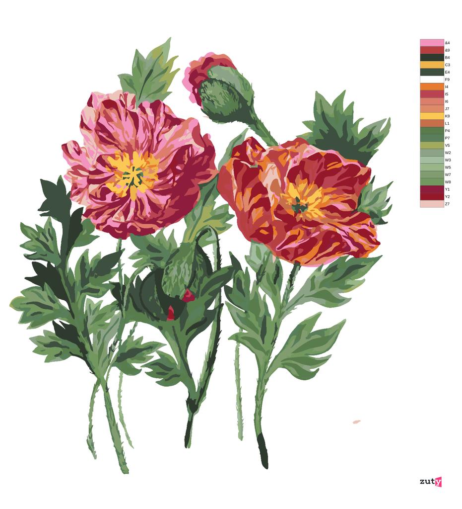 Satın alın Zuty Paint by Numbers POPPIES (ALEXANDRIA GILBERT