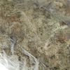 12L Sphagnum Moss Moisturizing Fertilizer For Phalaenopsis Orchid