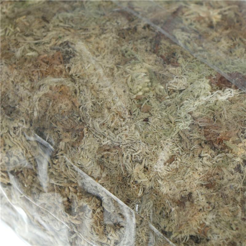 12L Sphagnum Moss Moisturizing Fertilizer For Phalaenopsis Orchid