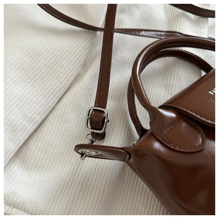 2025 Stylish Dumpling Crossbody & Shoulder Bag - Trendy Niche Design Ladies' Bucket Bag