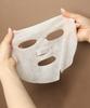 Lab Seoul Boosting Mask (10 Sheets)