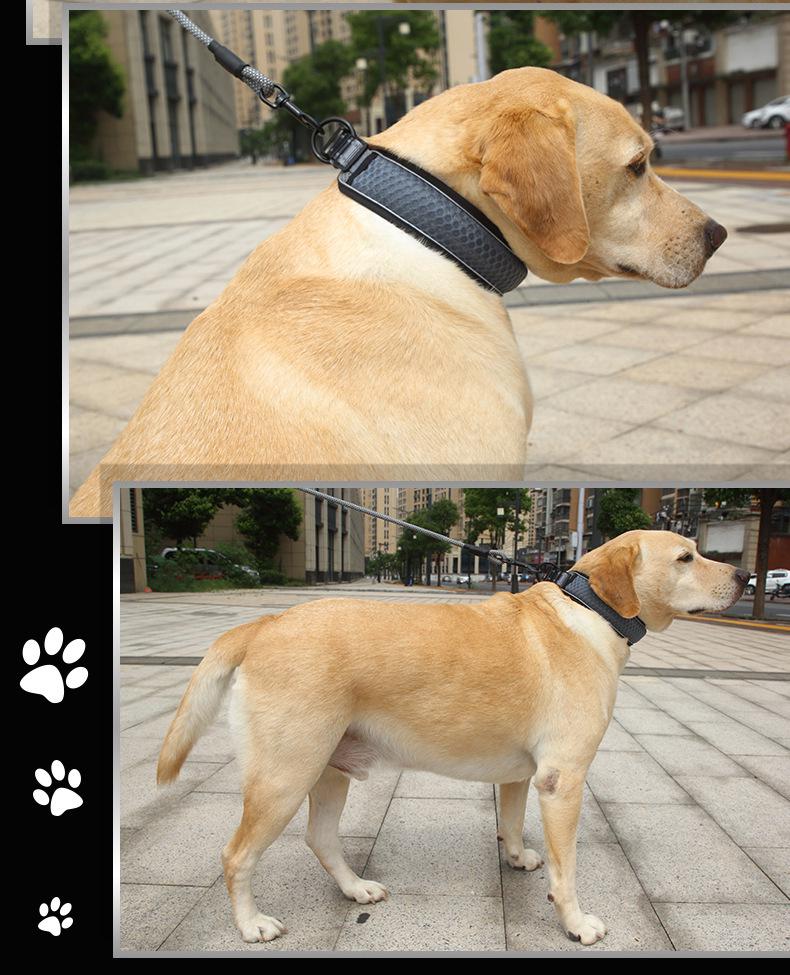 Regulowana, odblaskowa, oddychająca obroża spacerowa dla psa z siatki o strukturze plastra miodu