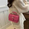 Stylish 2024 Pu Leather Shoulder Bag Trendy Korean Fashion Small Square Bag For Women