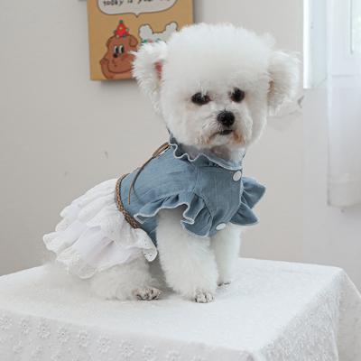 Pet Circle, Pet Clothing Dog Cat Clothing Cute Modern Texas Denim Skirt