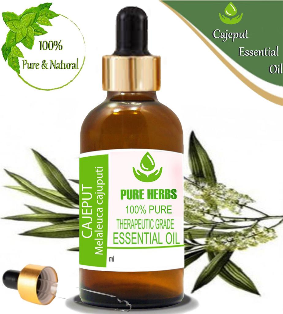 Pure Herbs Cajeput 100% Pure & Natural Melaleuca Cajuputi Essential Oil