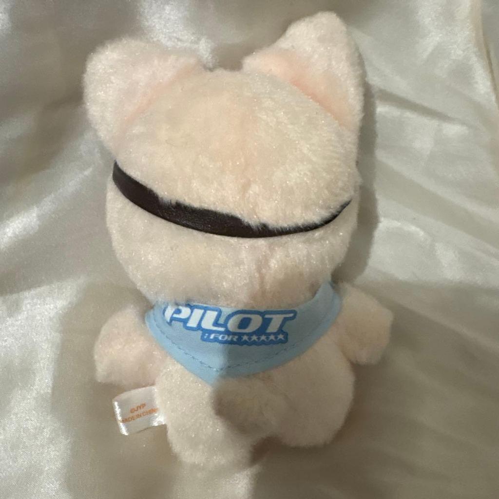 [USED] Straykids Ien Foxxy 10cm Plush Toy