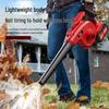 Oulaide Cordless 21V Lithium-Ion Blower Series CN Plug (adapter Included)