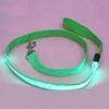 Pet Glow LED Flashing Light Anti-lost Leash Lead Rope Belt