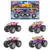 Hot Wheels Monster Truck 1:64 2-Pack Assorted Vehicle Toys, Mini Cars, Set of 8 (2 Cars Per Pack), Boxed, Ages 3+, Multi-Purpose, 986R-FYJ64