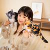 Cute simulation kitten doll plush toy three-flower cat orange cat doll children's soothing cloth doll