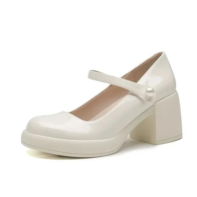 Fashion 2024 Brand Women's Shoes Buckle Strap Women's High Heels Fashion Round Toe Dress Pumps Women Hot Sale Shallow Mary Jane Shoes
