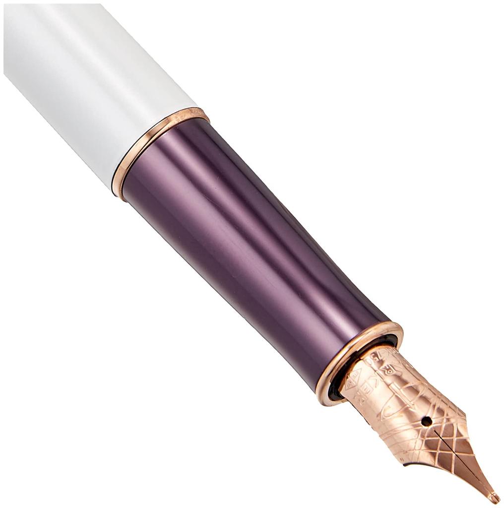 Parker Sonnet Great Expectations Special Edition Fountain Medium Purple Officially Imported Pen, Nib, Sizzle, 1930529, Dual-Use,