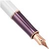Parker Sonnet Great Expectations Special Edition Fountain Medium Purple Officially Imported Pen, Nib, Sizzle, 1930529, Dual-Use,