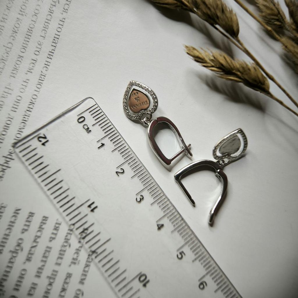 Silver Earrings with Cubic Zirkonia (2177500)
