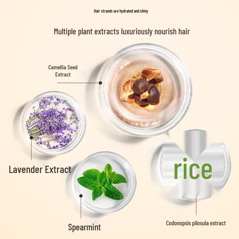 seeyoung Tea Seed Oil Control Anti-Dandruff Conditioner