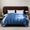 Solid Color Satin Down DuvetCover Luxury Spun Thick Skin Friendly Duvet Cover Single Ded Twin Bed Duvet Cover 200 * 200cm
