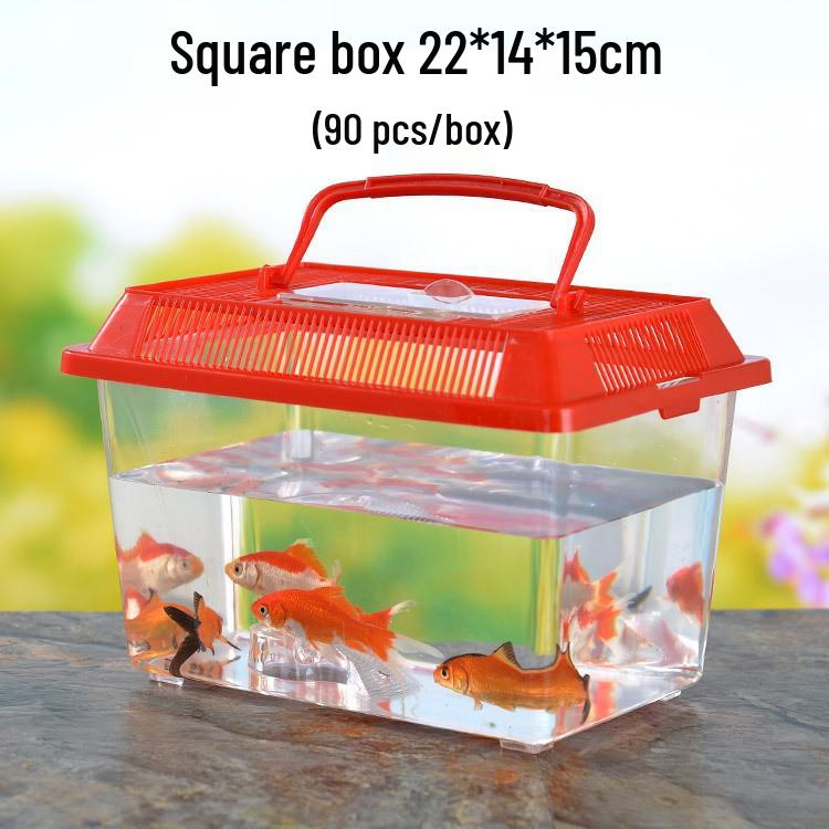 Clear Plastic Fish Tank with Sunning Platform - Available in Large, Medium, Small; Perfect for Goldfish or Turtles.