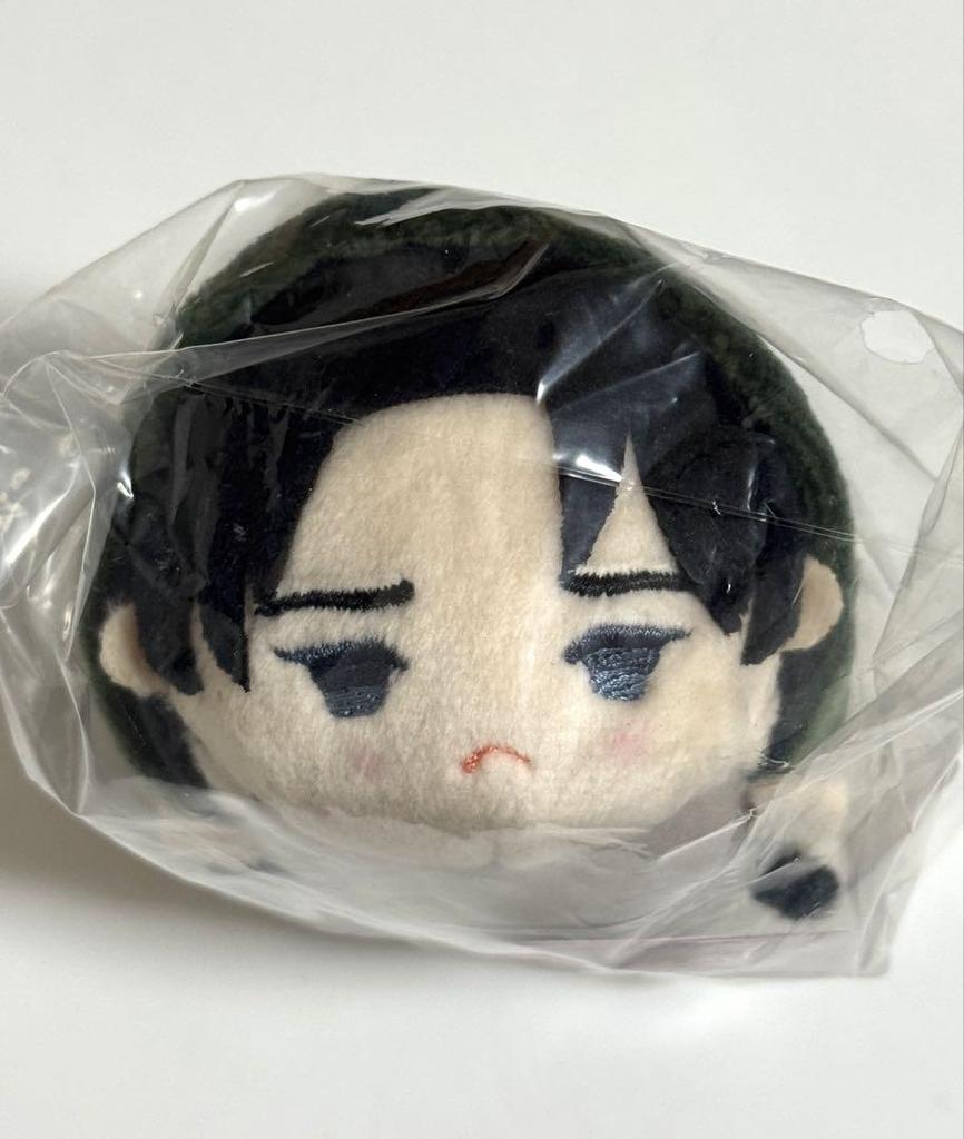 [USED] Attack on Titan Mochimasu Levi