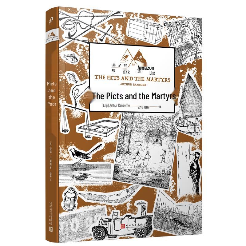 The Picts and the Martyrs Children s Novel