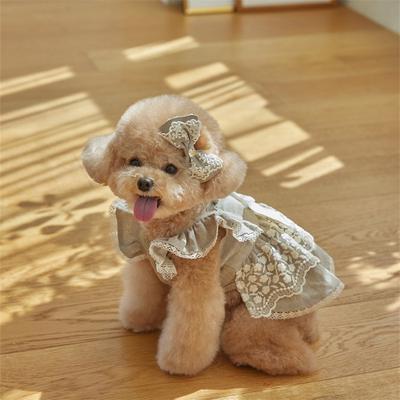 2025 Haustier Hund Hund Katze Kleidung Sommer Baumwolle Spitze Kleid Malteser Kleine Hundekleidung