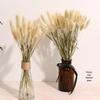 Original Color Bunny Tail Grass Dried Bouquet: Real Flowers for Home Decor, Window Displays, Photo Props, and DIY Arrangements.
