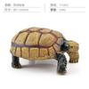 Simulation Amphibian Reptile Model Tortoise Tortoise Star Tortoise Static Decoration Cognitive Ornament Toy