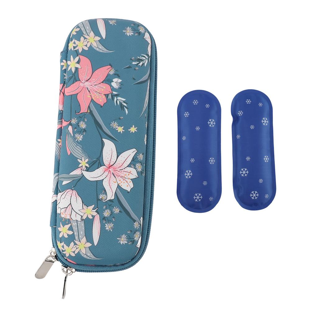 Insulin Cooler Bag Insulin Cooler Travel Case Diabetic Medication Insulated Cool Organizer with 2