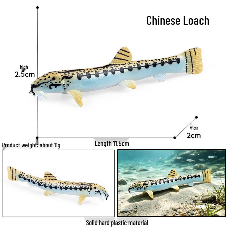 Ocean Wildlife Simulation Toy Set: Sea Turtle, Shark, Whale, Sea Lion, Tiger Shark, Manta Ray, Seal, Grouper.