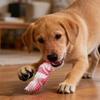 Köpek – Köpek oyuncakları