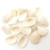1 Set Beach Conch Shells with Hole Craft Shells Natural Shell Beads Crafting Supplies for Bracelet Jewellery Making