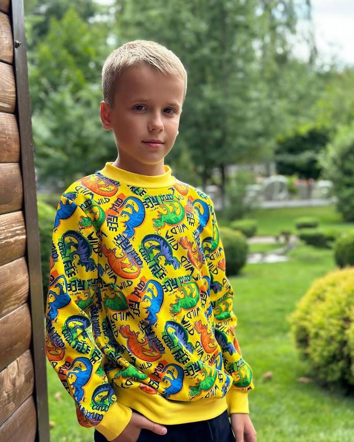 Boys’ Knit Sweatshirt – Fashionable and Durable, Demi-season, 6069-024-4 HC