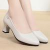 Fashion High Heels Wedding Shoes Women 2025 New Women Shoes Beige Genuine Leather Pointed Toe Professional Fashion Single Shoes Women