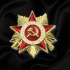 Soviet Order of The Patriotic War Commemorative Pin Decoration for Historical Reenactments and Badge Collections