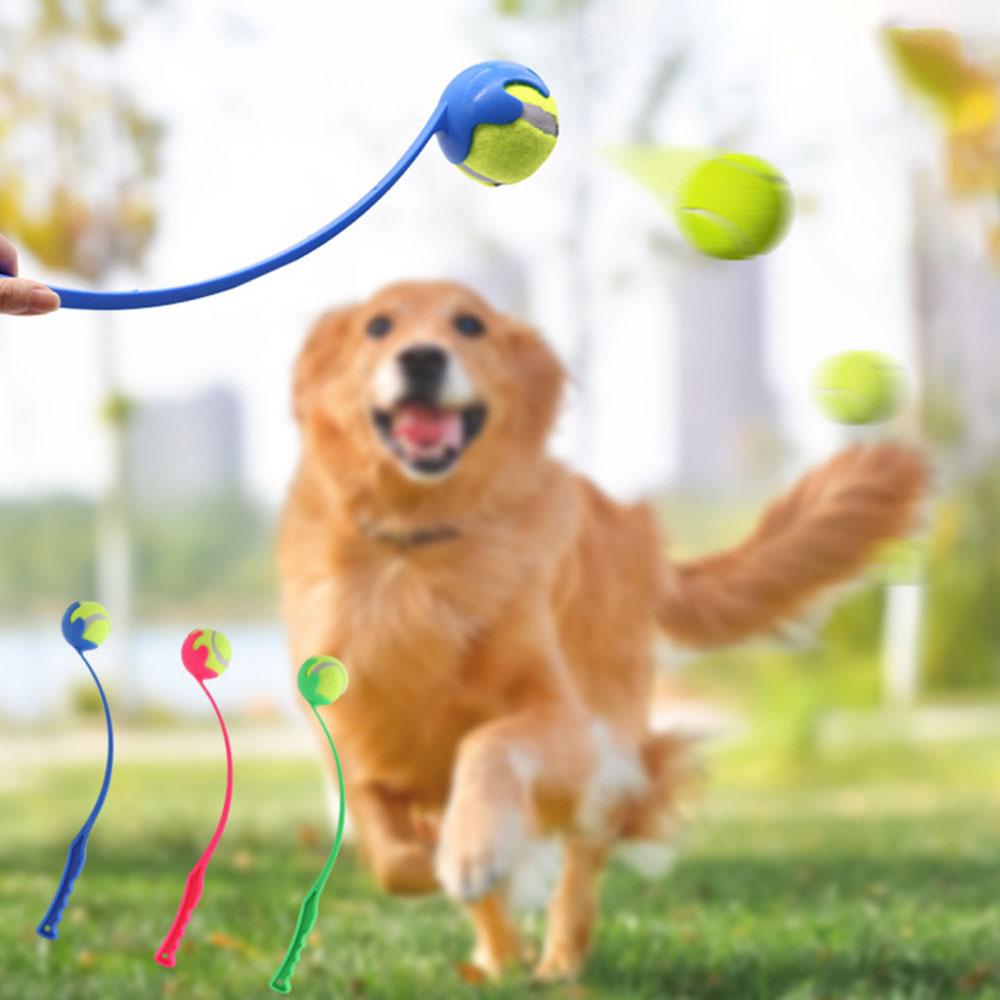 Pet Ball Launcher Stick - Hands-Free Dog Ball Thrower & Retriever, Outdoor Interactive Training Dog Toy,