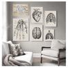 Vintage-Poster und Drucke, Arztbüro, Dekoration, Skelett, anatomischer Schädel, Leinwandgemälde, menschliche Anatomie, Wandkunst, Krankenhaus