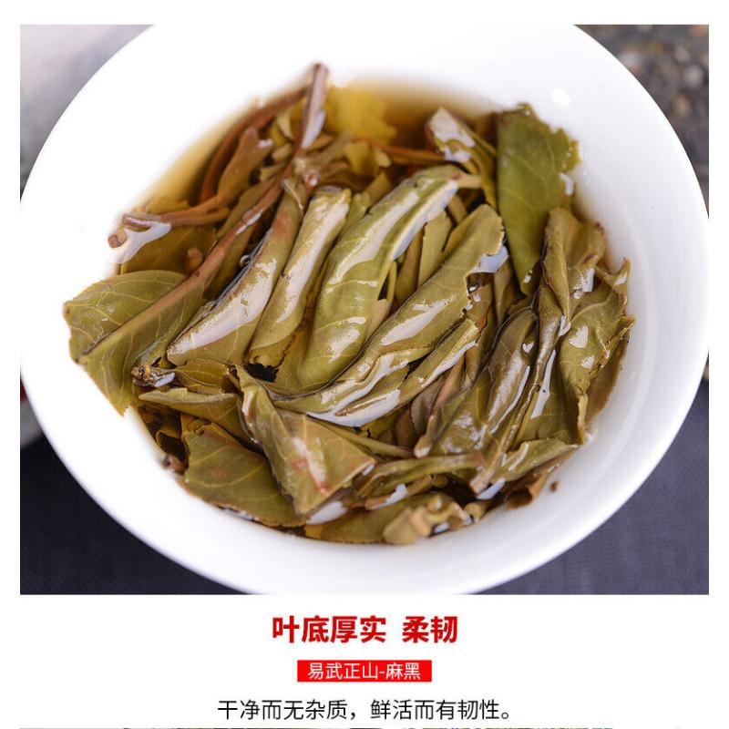 2021 Haiwan Yi Wu Zheng Shan Ma Hei Berühmter Alter Baum Shen Puer Tee Roher Pu'er 500g