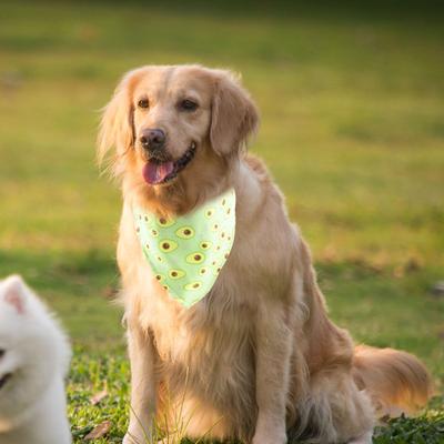 Pet Saliva Wipes Adjustable Cat Collar Bandana with Bell Fruits Print Fabric Pet Collar
