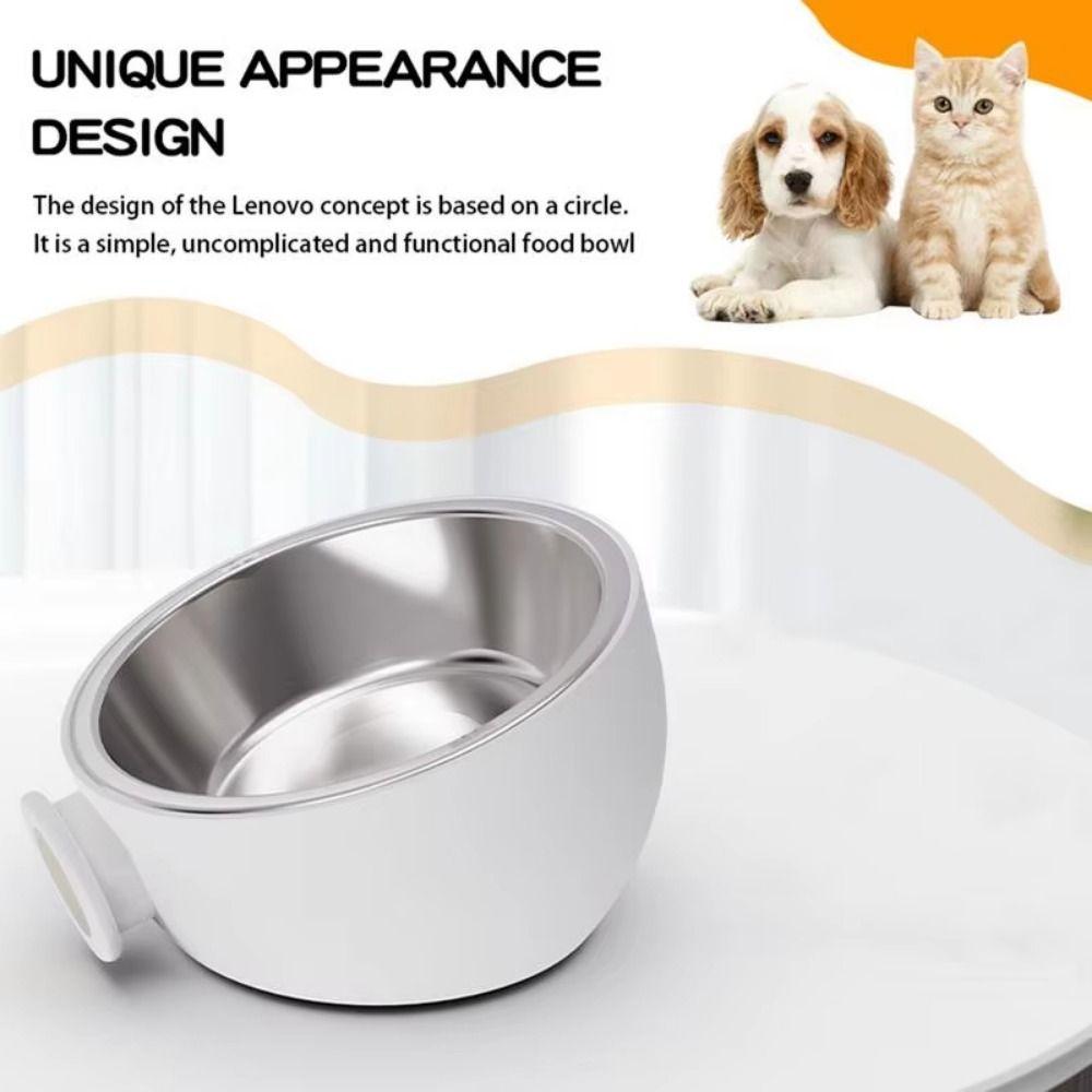 Stainless Steel Wall Mounted Dog Bowl Adjustable Height Pet Food Container  Cat