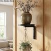 Carbon Steel Plant Display Stand Raised Tray Edge with Hook Wall Plant Hanger Large Load-bearing Space Saving