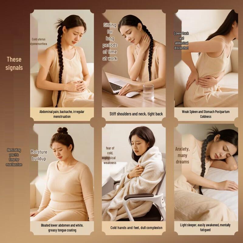 Breo A2 Portable Electronic Moxibustion Device CN plug (adapter included)