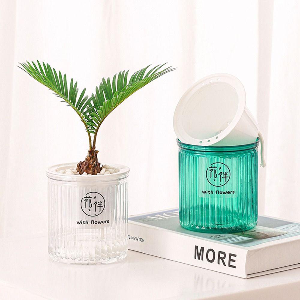 Self Watering Flower Pot Transparent Desktop Flowerpot High Quality Plant Pot