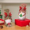 Christmas Gnome Doll Fall Gnome Figurine Gnome Christmas Faceless Doll Christmas Decoration for Home Handmade Swedish Ornament