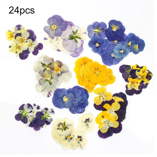 Yousheng 24 Buc. Flori Naturale Presate Uscate DIY Artă Meșteșuguri Topper Tort Decorare Cocktailuri Rășină Bijuterii Scrapbooking Semne de Carte Confecționare Colorat