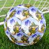 Snufkin Theme Size 5 Soccer Ball, Suitable for Both Indoor and Outdoor Matches, a Gift Suitable for Everyone.