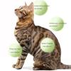 Cat Snacks 45g Kitten Hairball Removal Treats Freeze Dried Cat Dental Clean Tartar Reduce Kitty Training Reward Grinding Teeth