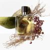 Hermès - Eau de Parfum Terre Dhermes Eau Intense Vetiver 100 ml -