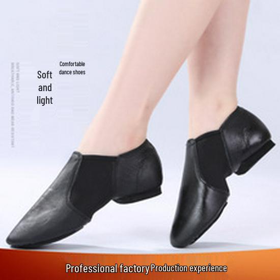 Women's Soft Sole Ballet & Dance Shoes - Gold/Silver, Cat Paw Design